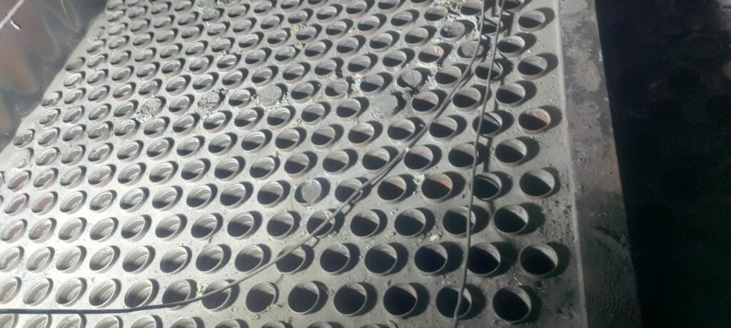 WhatsApp Image 2025-11-11 at 9.48.38 PM