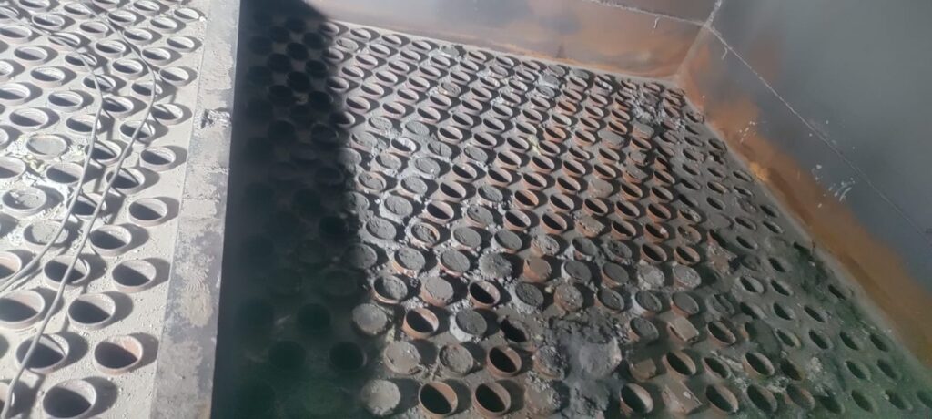 WhatsApp Image 2025-11-11 at 9.48.39 PM (1)