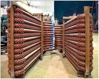 WhatsApp Image 2025-11-13 at 5.25.05 PM (7)